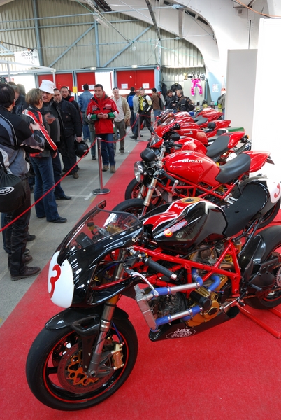 Puce_Niort_2009_075 [800x600].jpg